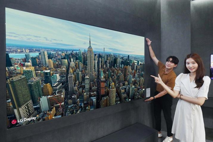 8Ɋ؍E\EōsꂽuK-Display 2022vł́Apl[J[łLGfBXvC97V^̗L@ELfBXvCWĂ