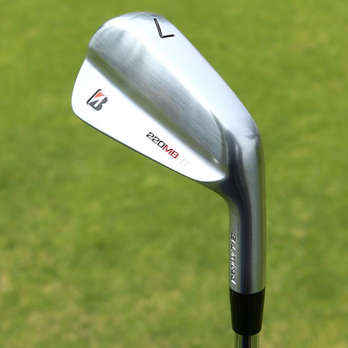 ܂œ{̂悤ȔAɔACAł