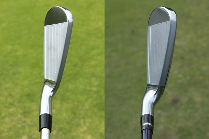 wbh`ȂقȂ܂B̃hCuX^[́AAX[gfRƂĂ܂