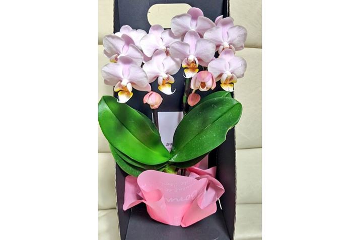 1A2ɂ킽Ċy߂~fBӒ炦܂BpɂgȁALCȃ{bNXɓđĂ܂