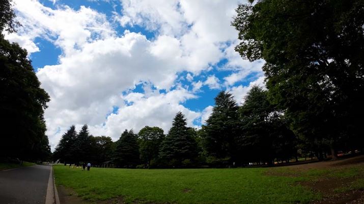 4K60fps̍Ⴉ؂蔲XN[VbgB_̖A̂₩ȐFȂǁAڂN₩ɉfoĂ܂Be̕A኱A_[CȂ̂CɂȂƂł