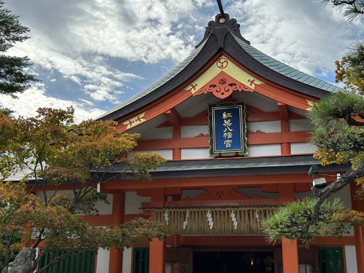 uiPhone 14 Prov́u×2viCJjŎBeBeʐ^i4032×3024A2.99MBj