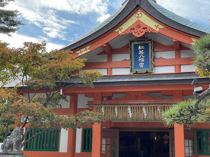 uiPhone 12 Prov́u×2vi]JjŎBe