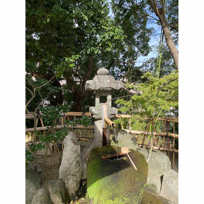 uiPhone 12 Prov́u×1viLpJjŎBe