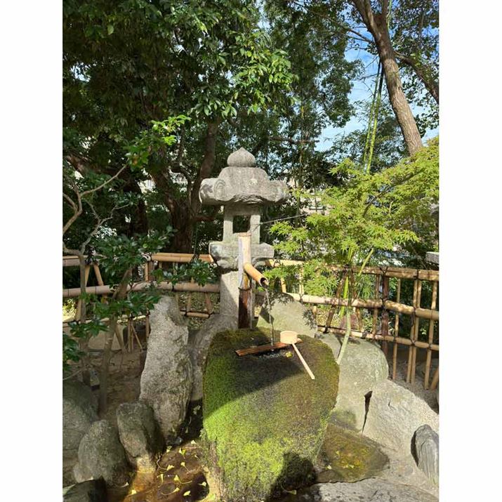 uiPhone 14 Prov́u×1viCJjProRAWBeAJPEGf[^ŏoʐ^