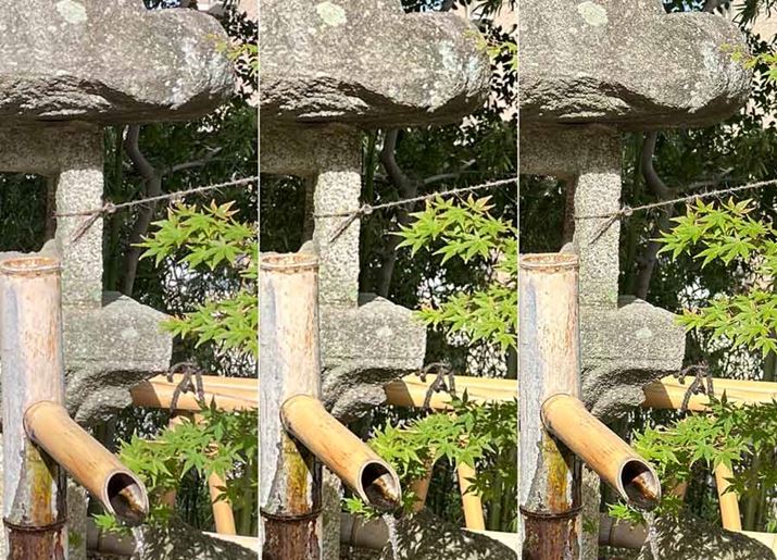 AuiPhone 12 ProvAuiPhone 14 Prov̒ʏʐ^AuiPhone 14 ProvRAWʐ^