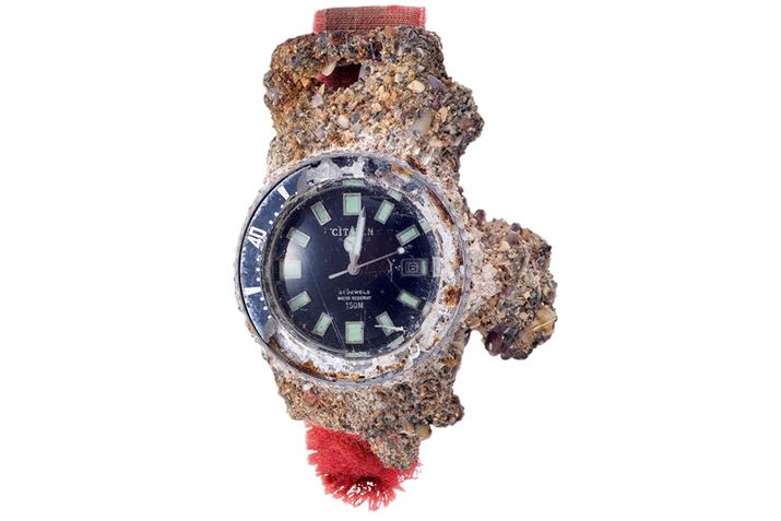 I[XgÅC݂ŔꂽuDV-C82v̎Bɂ́AłɃIWî̂ł͂ȂohɕtւĂɁA҂ɂtFCX̃tWc{͎菜ꂽԂŁuV`Y~[WAvɕۊǂĂ܂