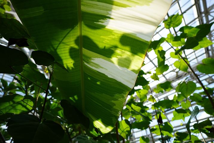 6600AE 11mm F1.8A11mmAiDAEAF1.8A1/1600bAISO100AzCgoXFzANGCeBuX^CFiBeʐ^i6000×4000A6.4MBj