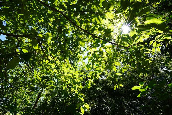 6600AE 11mm F1.8A11mmAvOAEAF14A1/25bAISO100A-0.3EVAzCgoXFzANGCeBuX^CFiBeʐ^i6000×4000A10.0MBj