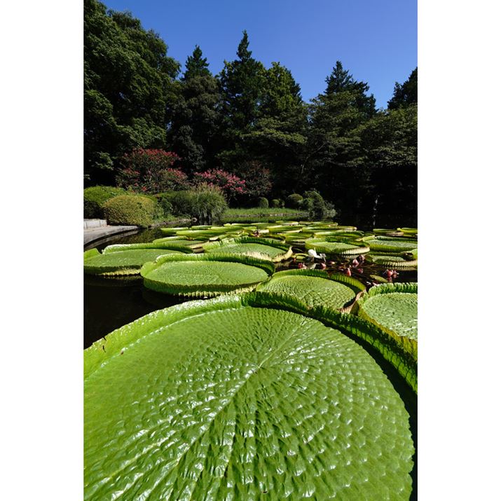 6600AE 11mm F1.8A11mmAiDAEAF8A1/250bAISO100A-0.7EVAzCgoXFzANGCeBuX^CFNABeʐ^i4000×6000A9.6MBj