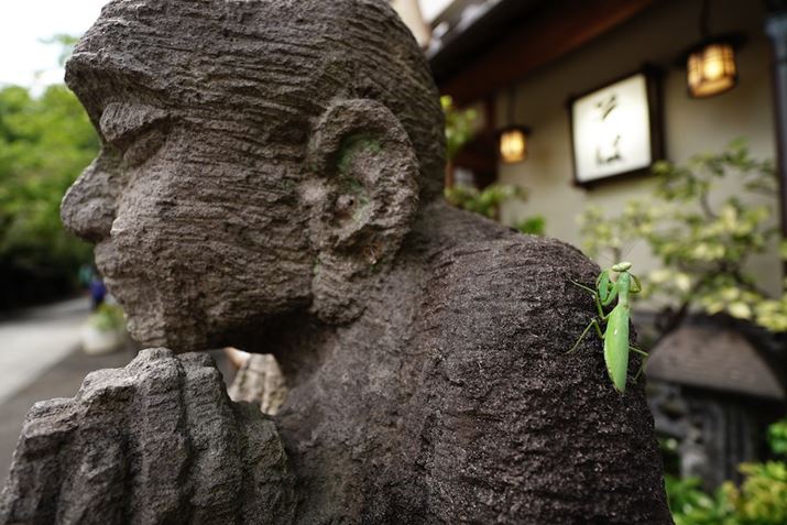 6600AE 11mm F1.8A11mmAiDAEAF2A1/400bAISO100A-0.3EVAzCgoXFܓVANGCeBuX^CFfB[vBeʐ^i6000×4000A7.5MBj