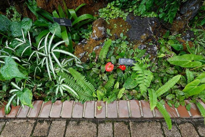 6600AE 11mm F1.8A11mmAvOAEAF2.8A1/60bAISO100A-0.3EVAzCgoXFzANGCeBuX^CFCgBeʐ^i6000×4000A10.0MBj