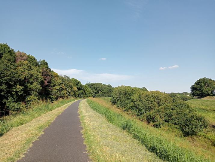 ̌iFBeBAo[ɊĂ邪̎Bê߂ŁAzCgoX̗ł͂ȂBቿi@ŌRgXg̑SʓIȒቺAK\̕sRȂBĉ掿͂悢Ӗŗ}I