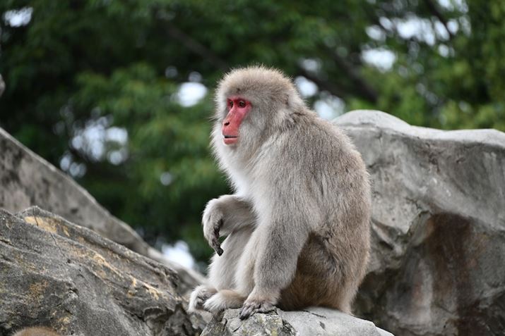 Z 7IIA70-300mm F/4.5-6.3 Di III RXDA300mmAF6.3A1/500bAISO400AWBFI[g1AsN`[Rg[FX^_[hAANeBuD-CeBOFȂAJPEGBeʐ^i8256×5504A23.0MBj