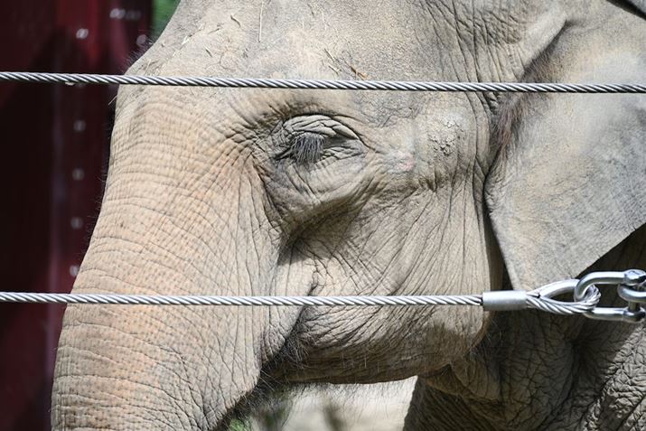 Z 7IIA70-300mm F/4.5-6.3 Di III RXDA222mmAF6A1/500bAISO200AWBFI[g1AsN`[Rg[FX^_[hAANeBuD-CeBOFȂAJPEGBeʐ^i8256×5504A30.6MBj