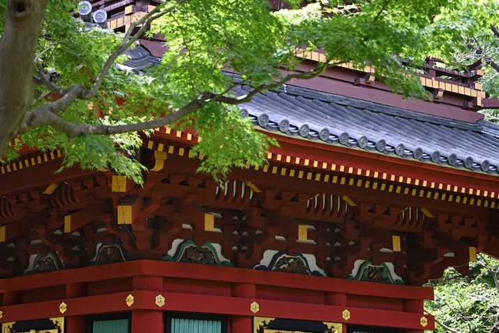 Z 7IIA70-300mm F/4.5-6.3 Di III RXDA99mmAF6A1/500bAISO200AWBFI[g1AsN`[Rg[FX^_[hAANeBuD-CeBOFȂAJPEGBeʐ^i8256×5504A22.1MBj