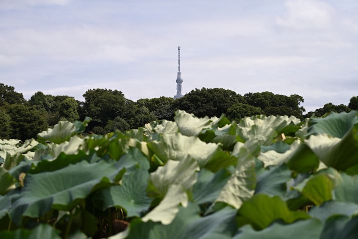 Z 7IIA70-300mm F/4.5-6.3 Di III RXDA70mmAF5.6A1/800bAISO100AWBFI[g1AsN`[Rg[FX^_[hAANeBuD-CeBOFȂAJPEGBeʐ^i8256×5504A18.7MBj