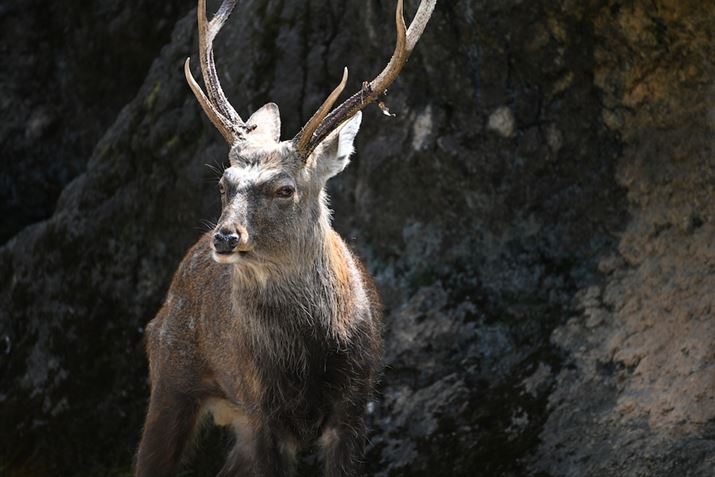 Z 7IIA70-300mm F/4.5-6.3 Di III RXDA300mmAF6.3A1/320bAISO400AWBFI[g1AsN`[Rg[FX^_[hAANeBuD-CeBOFȂAJPEGBeʐ^i8256×5504A20.9MBj