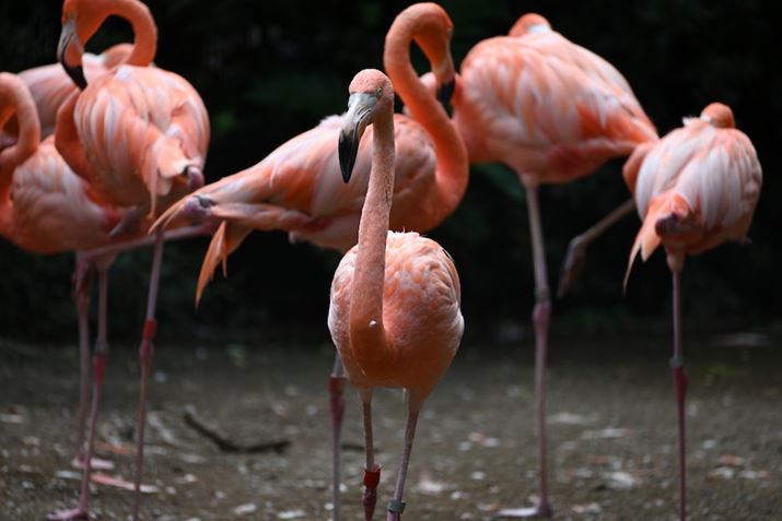 Z 7IIA70-300mm F/4.5-6.3 Di III RXDA300mmAF6.3A1/125bAISO64AWBFI[g1AsN`[Rg[FX^_[hAANeBuD-CeBOFȂAJPEGBeʐ^i8256×5504A16.0MBj