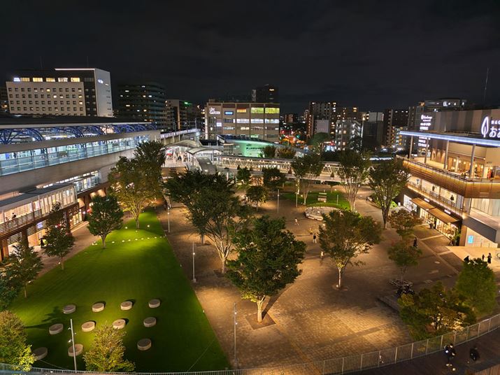 ߂̖iBeB̈ÂƃCgAbvĂnCCg܂ŖOaꂸA؂Jオ̘Hʂ̃fBe[ԂĂȂBzCgoX肵ĂBiłuAQUOS sense6vƂ̓ẍႤdオ肾