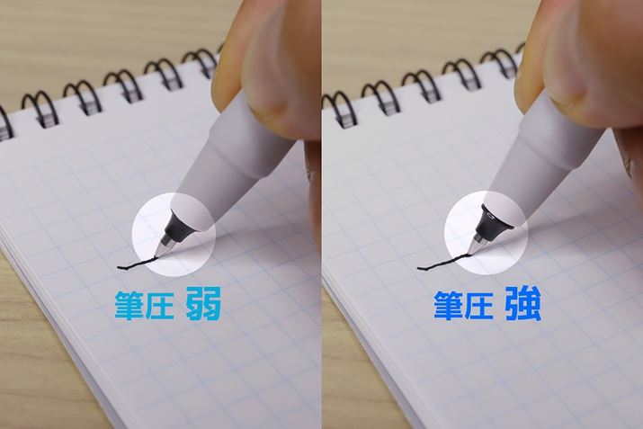 MƁA[̍p[cяoAȂ𐶂ރj[Nȍ\