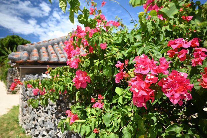 Z 30ANIKKOR Z DX 16-50mm f/3.5-6.3 VRA16mmi35mmZ24mmjAF3.5A1/60bAISO100AWBFI[g1AsN`[Rg[FI[gBeʐ^i5568×3712A9.0MBj