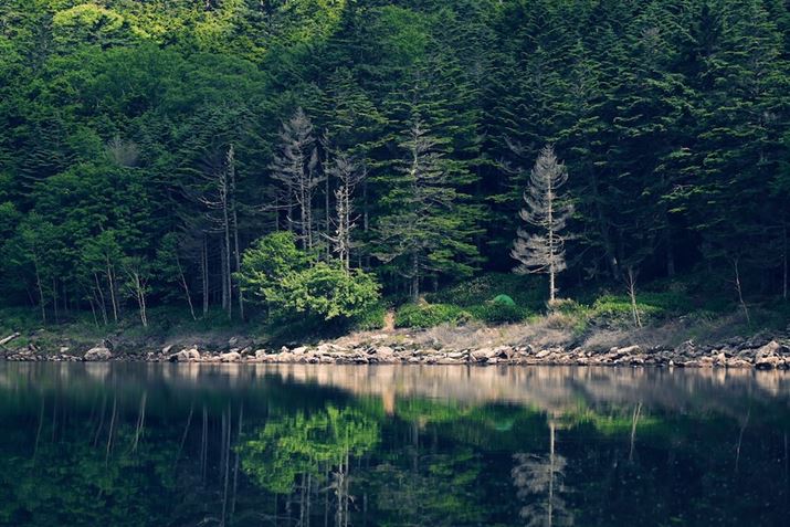 ugCvgpĎBeʐ^BΐF̐[݂oāAΖʂ̔˂ƃX|bgCĝ悤ɓ{̌͂؂Ă邱ƂłZ 30ANIKKOR Z DX 50-250mm f/4.5-6.3 VRA71mmi35mmZ107mmjAF4.8A1/1600bAISO400AWBFVANGCeBusN`[Rg[FgCBeʐ^i5568×3712A13.0MBj