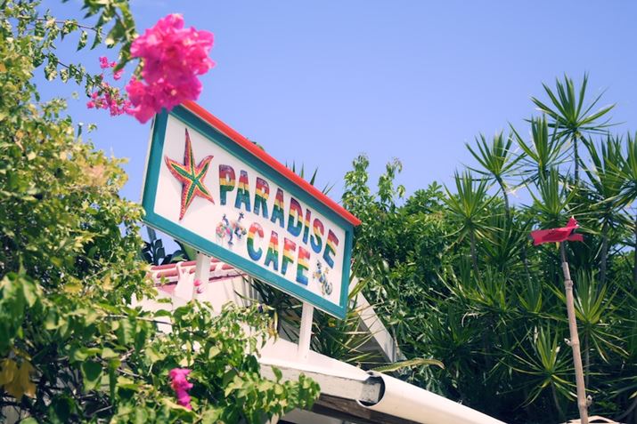 ̎ʐ^ugCvgpĎBeĂB΂ɐ[݂oāAԂsNȂǒgF̐FĂĂāA썑̃JtF͋̕C`₷1ɎdオZ 30ANIKKOR Z DX 16-50mm f/3.5-6.3 VRA34mmi35mmZ51mmjAF5A1/250bAISO100AWBFI[g1ANGCeBusN`[Rg[FgCBeʐ^i5568×3712A8.8MBj