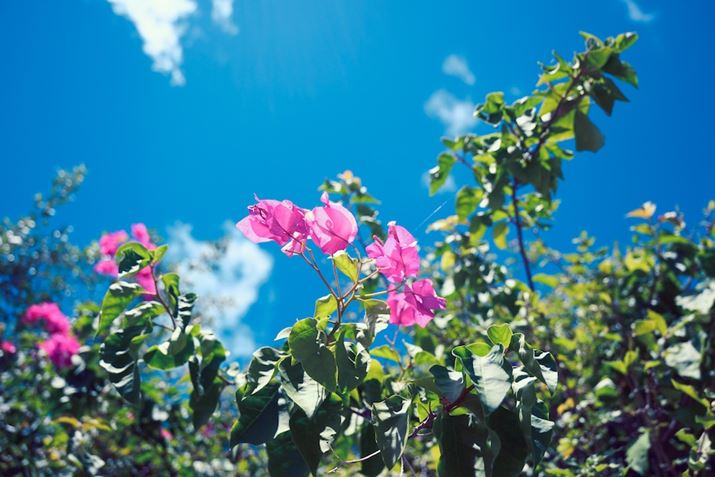 NGCeBusN`[Rg[FfjiKpx100j