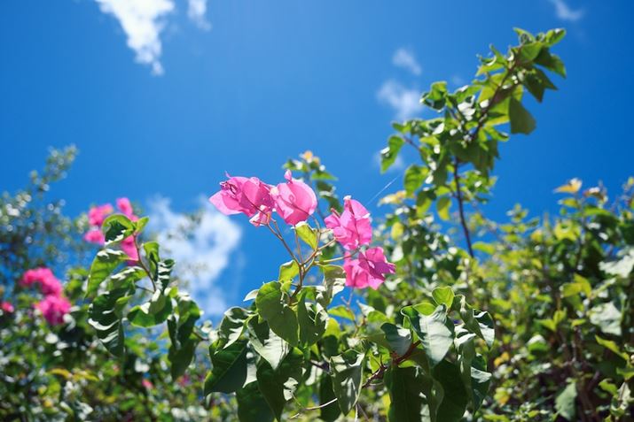 NGCeBusN`[Rg[FfjiKpx50j