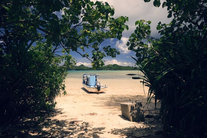 Z 30ANIKKOR Z DX 16-50mm f/3.5-6.3 VRA17mmi35mmZ21mmjAF7.1A1/160bAISO100AWBFRI[gAsN`[Rg[FgCBeʐ^i5568×3712A8.8MBj