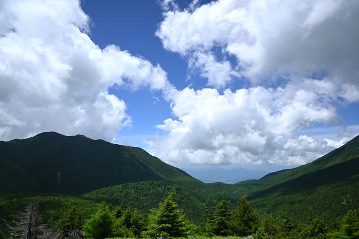 oRȂBe1B^EyʂȁuZ 30v̂ŁARoȂł@͂𗎂ƂɎBey߂Z 30ANIKKOR Z DX 16-50mm f/3.5-6.3 VRA16mmi35mmZ24mmjAF3.5A1/4000bAISO160AWBFVANGCeBusN`[Rg[F|bvBeʐ^i5568×3712A8.0MBj