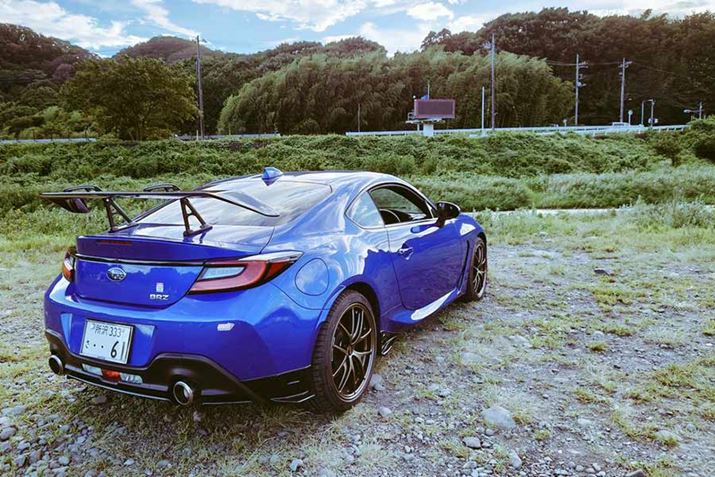 yɊy߂閳LvłAȂɑ傫߂̐΂Ȃǂ]Ă܂Bԑ̂A~zC[tȂxǂA{ԑOɉĊmF邱Ƃ߂܂