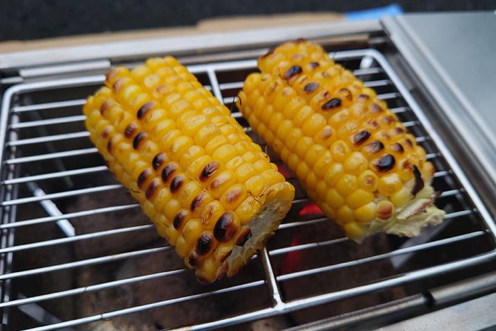 TCYAeʓIɍŒ̃RƎv܂AЂƂŐHׂ邾̐HނMɂ͏\