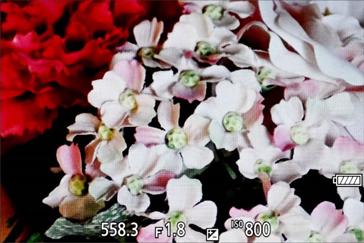 g\ʂɘIoiVb^[Xs[hAilAxj\悤ɂȂ