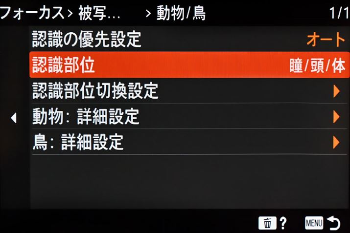 u/v̐ݒ胁j[BFʂƂāu//́vIԂ