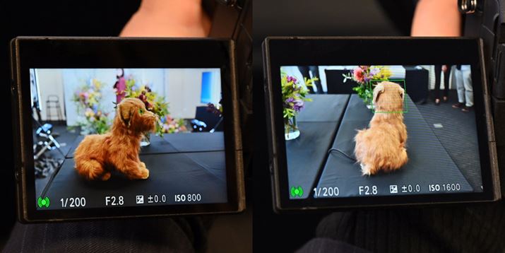 uvBꍇłxɓߑBp̓Fł