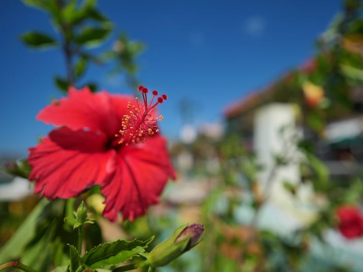 ߋŎBeBnCrXJX̃VxɃsg킹AwiLĕ\B̕\ł̂LpYȂł͂LUMIX G100ALEICA DG SUMMILUX 9mm / F1.7 ASPH.A9mmi35mmZ18mmjAF1.7A1/16000bAISO200AWBFVAtHgX^CFiBeʐ^i5184×3888A6.7MBj