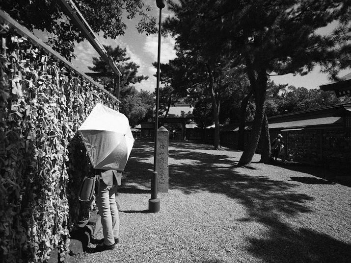 AOtɖڐ̍琅AOŎBeB_Ci~bN͂ȂA芴ĎRȈۂɂȂBȂA̎ʐ^́ABeꏊ͋̕Co߂ɁAdオݒutHgX^CvɁuL.mN[vݒ肵LUMIX G100ALEICA DG SUMMILUX 9mm / F1.7 ASPH.A9mmi35mmZ18mmjAF1.7A1/3200bAISO100AWBFVAtHgX^CFL.mN[Beʐ^i5184×3888A13.8MBj