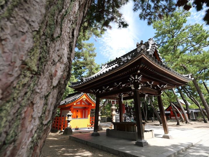 ͎Oɖ؂̊ĎBéB邱ƂŉߊAs\łĂLUMIX G100ALEICA DG SUMMILUX 9mm / F1.7 ASPH.A9mmi35mmZ18mmjAF3.5A1/320bAISO100AWBFVAtHgX^CFX^_[h