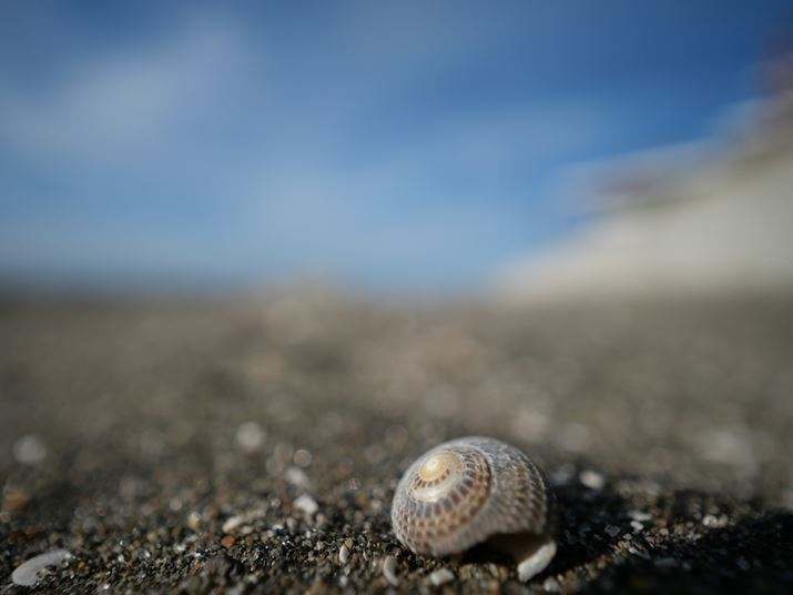 C݂ɗĂLŒZBeŎBeBLpYƂ͎vȂقǊāA傫Ȕwĩ{P\łLUMIX G100ALEICA DG SUMMILUX 9mm / F1.7 ASPH.A9mmi35mmZ18mmjAF1.7A1/13000bAISO200AWBFVAtHgX^CFX^_[hBeʐ^i5184×3888A5.8MBj