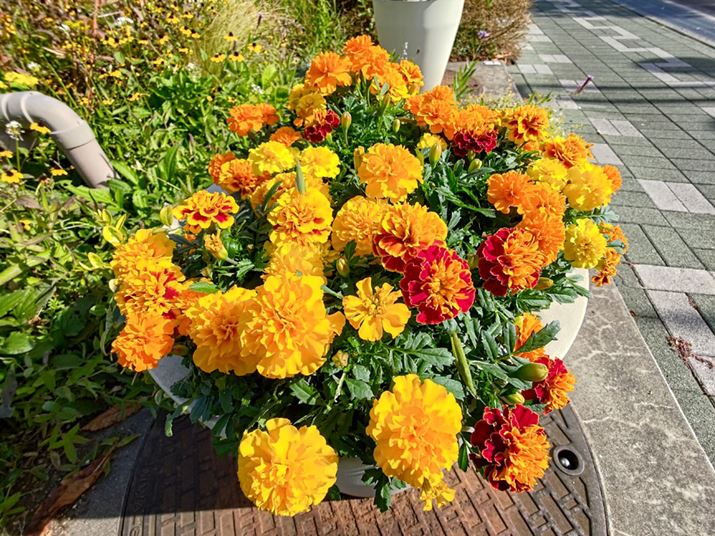 LpJi0.6{jŎBeA1/758bAF2.2AISO26