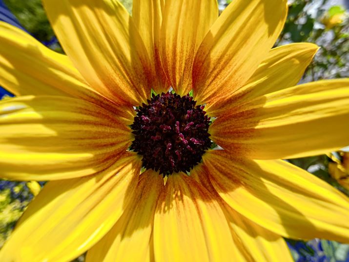 LpJi}NjŎBeA1/589bAF2.2AISO26