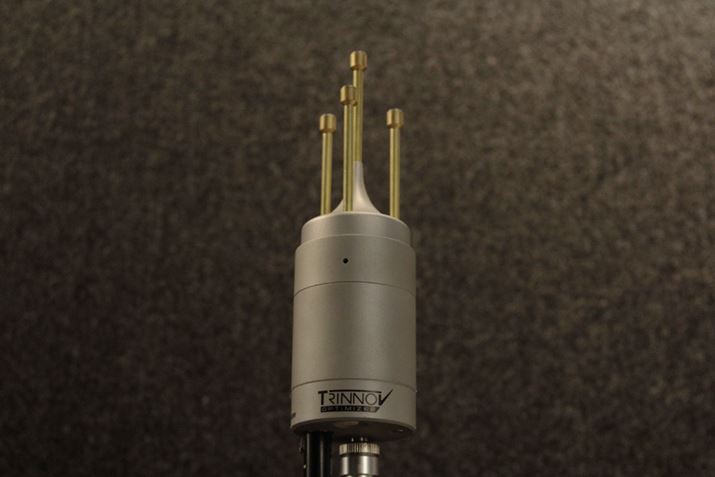 efW^M͐p̃}CNiʔjł̑肪OɂȂĂBgmtEI[fBĨIWii