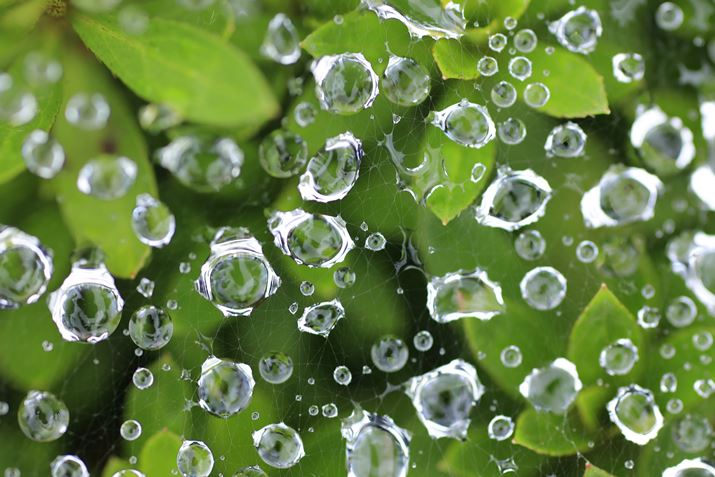 EOS R6Aatx-i 100mm F2.8 FF MACRO PLUSAiDI[gAF4A1/200bA+1/3EVAISO800AzCgoXFzAsN`[X^CFiAMFBeʐ^i5472×3648A5.6MBj