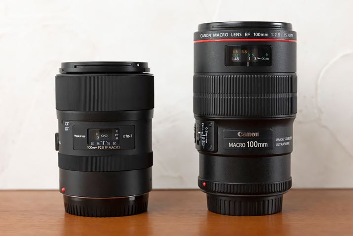 YƂ̔rBuatx-i 100mm F2.8 FF MACRO PLUSvŁAEuEF100mm F2.8L MACRO IS USMvBׂƁA{ỸRpNg悭킩