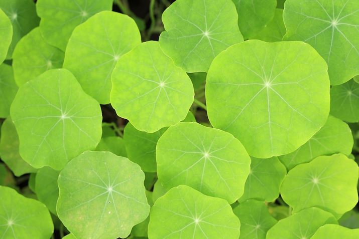 EOS R6Aatx-i 100mm F2.8 FF MACRO PLUSAiDI[gAF8A1/60bAISO400A+2/3EVAzCgoXFzAsN`[X^CFiAAFiVbgAFjBeʐ^i5472×3648A4.9MBj