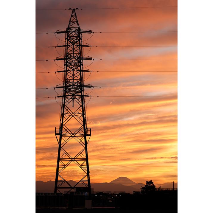 EOS R6Aatx-i 100mm F2.8 FF MACRO PLUSAiDI[gAF4A1/160bAISO200AzCgoXFAsN`[X^CFfBe[dAAFiVbgAFjBeʐ^i3648×5472A6.5MBj