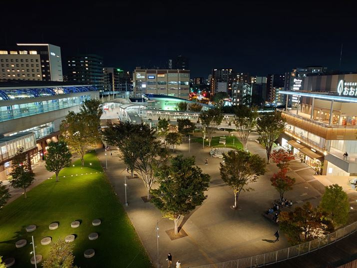 ߂̖iBeBHDRK؂ɓ삵ĂA\}ẼnCCg牓ïÕ܂ŊK̔j]͗}ĂBuɂAAF̖Ȃ̂ŖiłyȎBe\