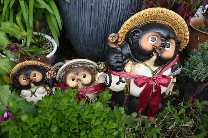 Z 6 IIANIKKOR Z 40mm f/4AISO100AF2A1/400bAzCgoXFI[g1i͋CcjAsN`[Rg[FX^_[hBeʐ^i6048×4024A12.4MBj